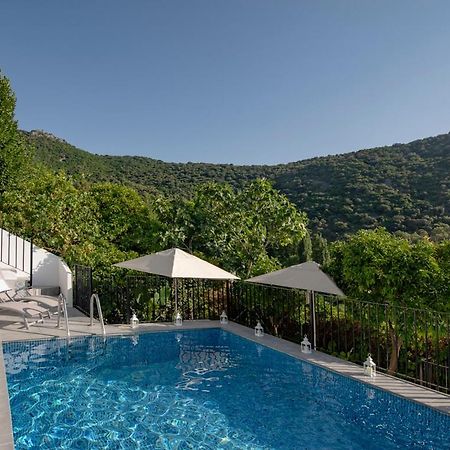 Stunning Home Benamahoma 4 Bed - Sierra Grazalema エクステリア 写真