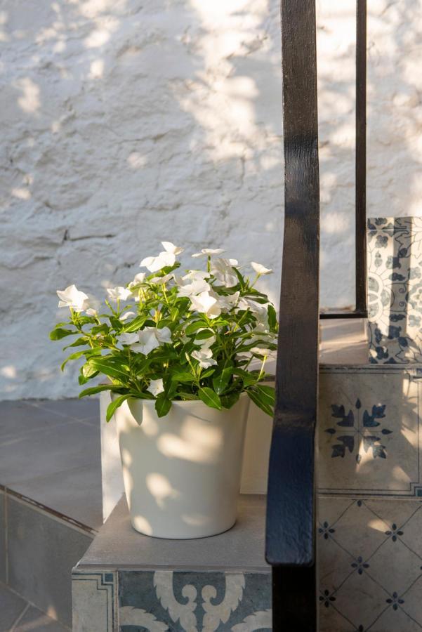 Stunning Home Benamahoma 4 Bed - Sierra Grazalema エクステリア 写真