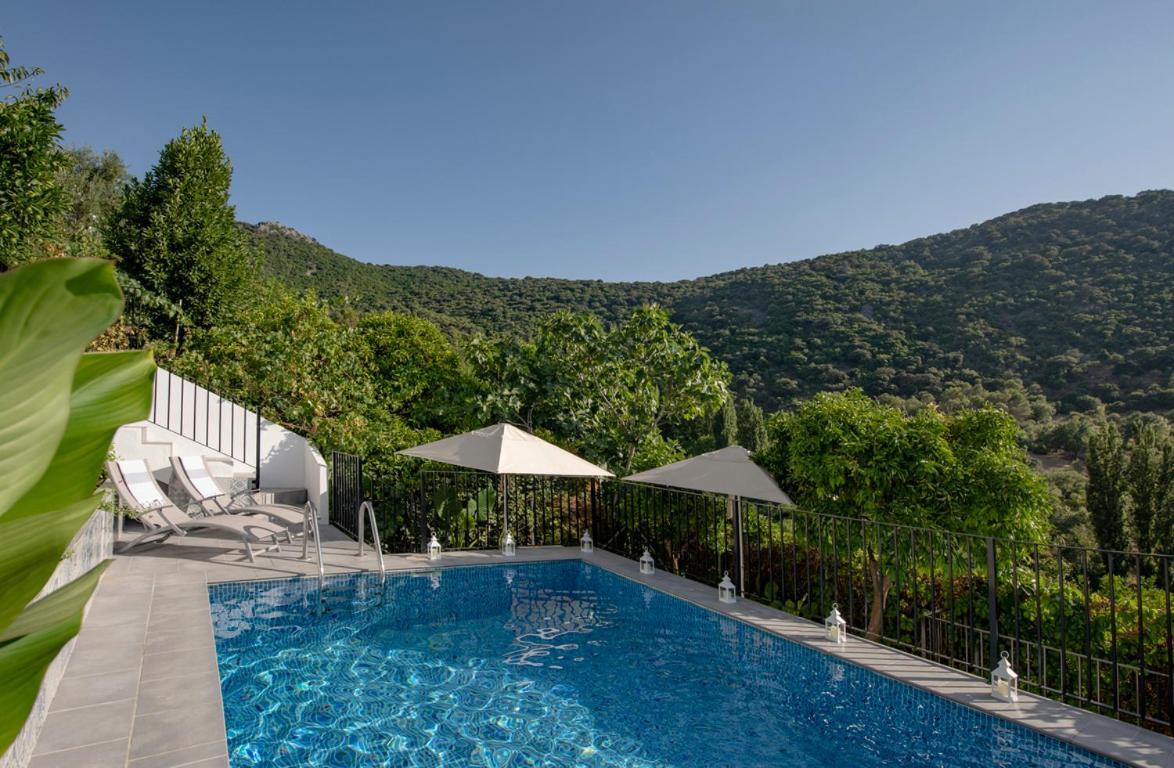 Stunning Home Benamahoma 4 Bed - Sierra Grazalema エクステリア 写真