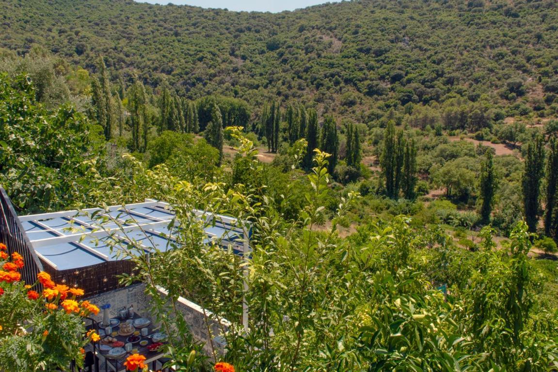 Stunning Home Benamahoma 4 Bed - Sierra Grazalema エクステリア 写真
